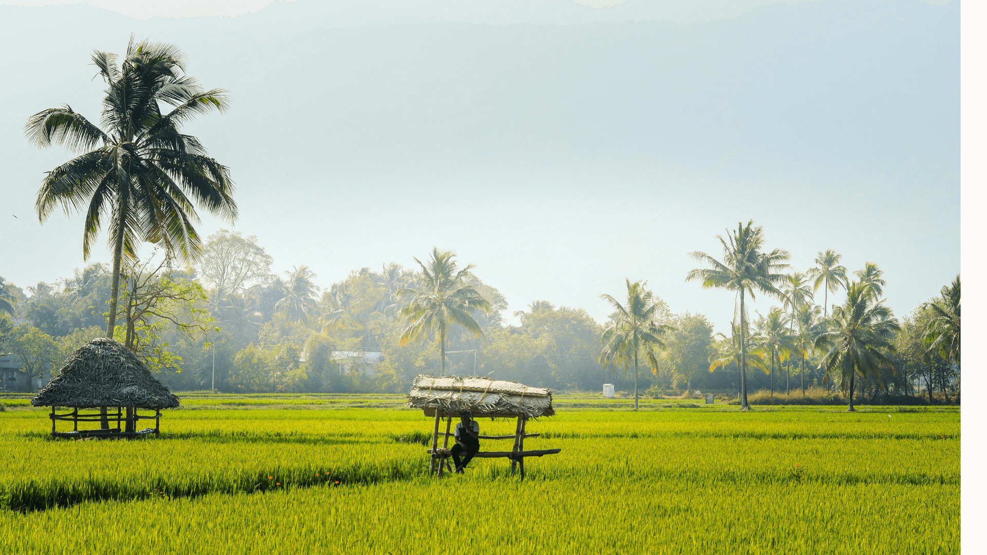 Premium Trip - Kerala: Nature, spice & Heritage