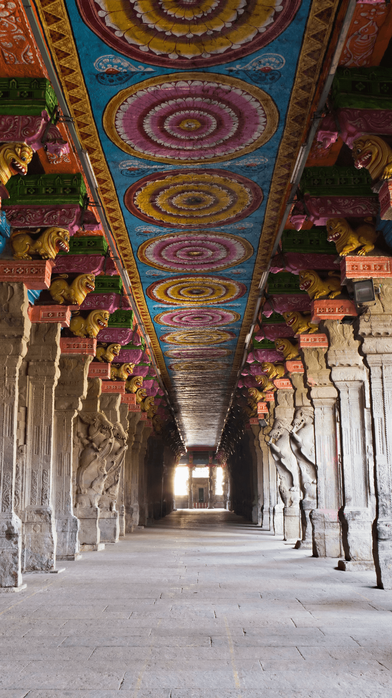 Gallery 4